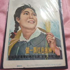 包老包真做一颗金色的种子 稀缺小宣传画，保存的非常好 上海人民出版社 十年代(定价1分