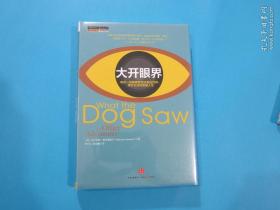 大开眼界：用另一双眼睛看透这疯狂世界、奇妙生活和美丽人生