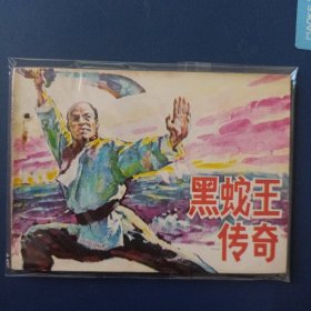 黑蛇王传奇