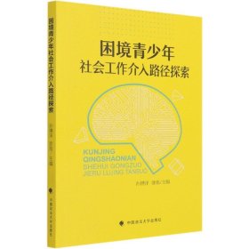 困境青少年社会工作介入路径探索