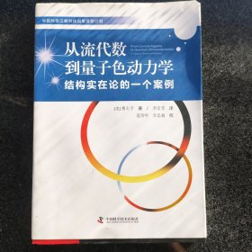 从流代数到量子色动力学 结构实在论的一个案例