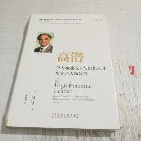 高潜：个人加速成长与组织人才培养的大师智慧