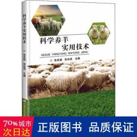 科学养羊实用技术