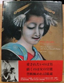 甲斐庄楠音画集 —— 浪漫情色主义者