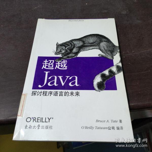 超越 Java：探讨程序语言的未来