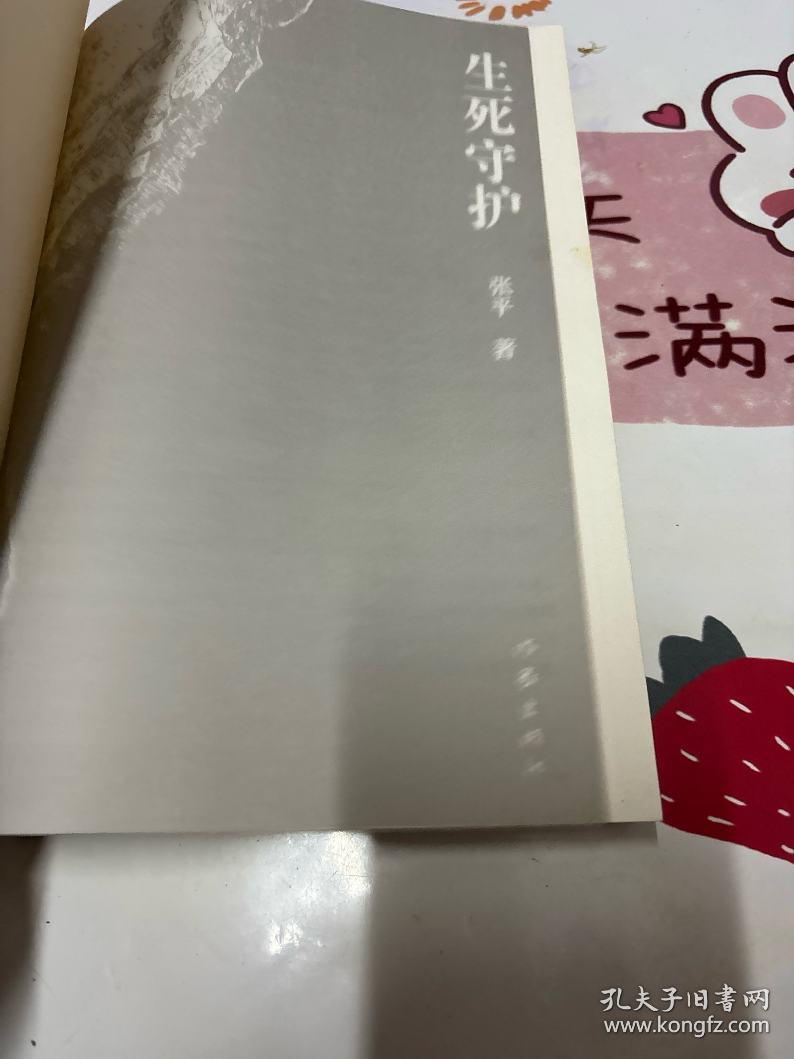 生死守护（茅盾文学奖获得者、“人民作家”张平2020年新作）