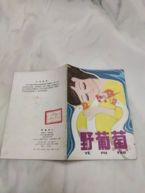 野葡萄（中）葛翠林写黄冠余画少年儿童出版社出版 老版儿童读物