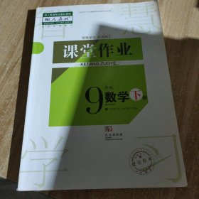 課堂作業(yè)數(shù)學(xué)九年級(jí)下冊(cè)，