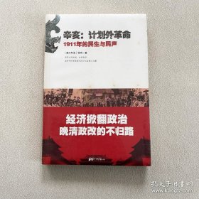 辛亥·计划外革命：1911年的民生与民声