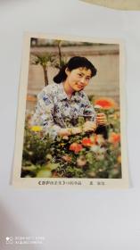 演员庞静图片