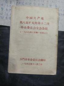 中国共产党第八届扩大的第十二次中央委员会全会公报