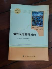 统编语文教材配套阅读 八年级下：钢铁是怎样炼成的/名著阅读课程化丛书