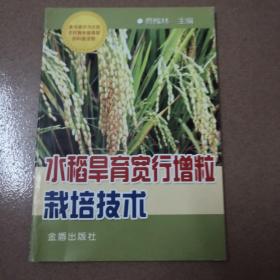 水稻旱育宽行增粒栽培技术
