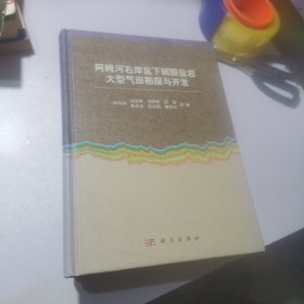 阿姆河右岸盐下碳酸盐岩特大型气田勘探与开发