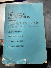 THE PRACTICAL IMAGINATION实用的想象力  小说，诗歌，戏剧 修订版 （上册）