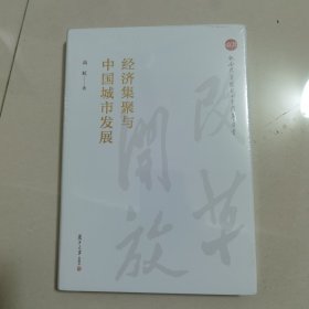 经济集聚与中国城市发展（纪念改革开放四十周年丛书）