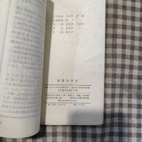 大理风情录