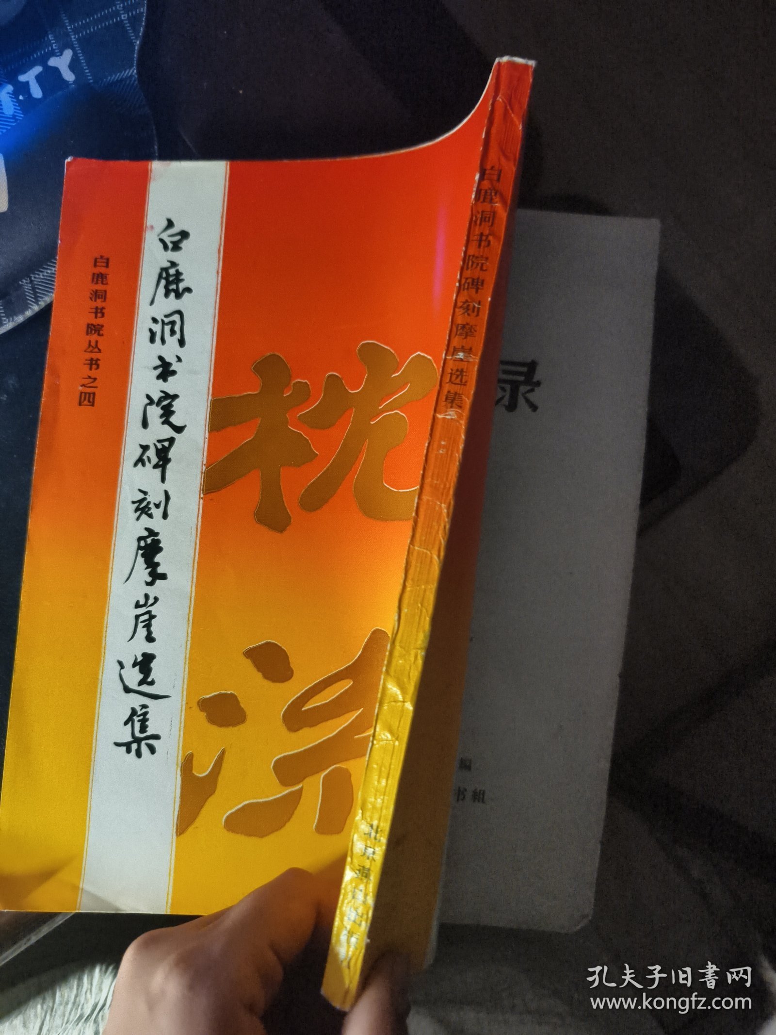 白鹿洞书院碑刻摩崖选集