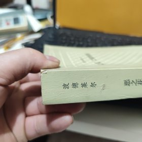 恶之花 巴黎的忧郁—外国文学名著丛书 网格本（1991年一版一印，私人藏书，图书有自然形成的黄斑，内页干净无笔记，详细参照书影）