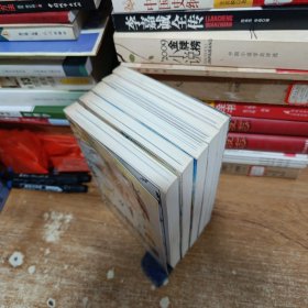 偷偷爱着你5本合售