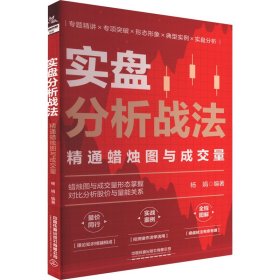 实盘分析战法：精通蜡烛图与成交量