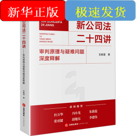 新公司法二十四讲 审判原理与疑难问题深度释解