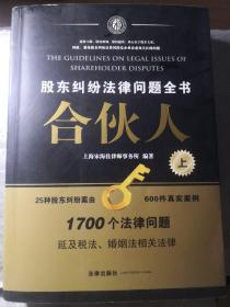 合伙人：股东纠纷法律问题全书（上册）