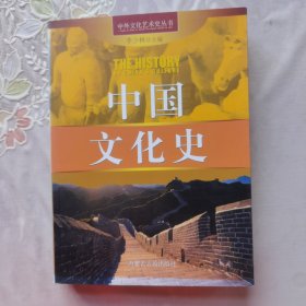 中外文化艺术史丛书