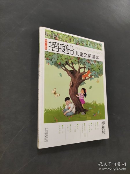 摆渡船