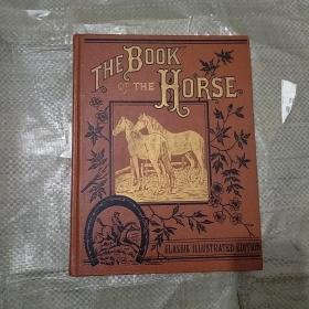 THE   BOOK  OF  THE  HORSE