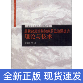 層狀鹽巖溶腔儲庫原位溶浸建造理論與技術(shù)