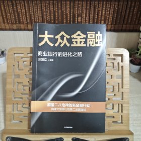 大众金融：颠覆二八定律的新金融行动，构建大型银行发展的第二曲线