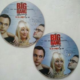 THE BIG BANG THEORY 生活大爆炸 第一季 共 2张DVD