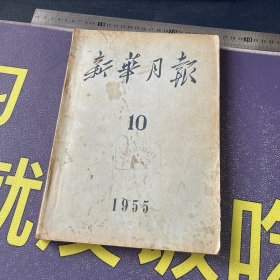 新华月报  1955年第10期