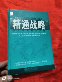 精通战略：企业战略前沿问题 （16开，精装）