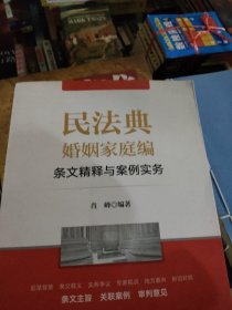 民法典婚姻家庭编条文精释与案例实务