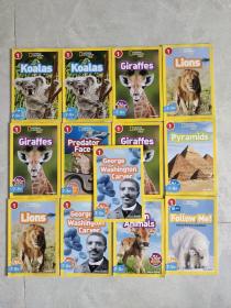 National Geographic Readers: Koalas 国际地理少儿版（13本合售）