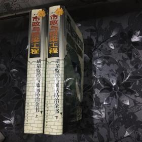 市政与桥梁工程质量监控与通病防治全书（精装上下册） 仅印2000册