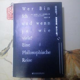 我是谁？：如果有我，有几个我？