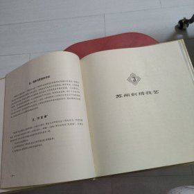 苏州刺绣