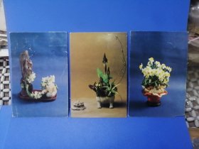 水仙花80年代贴邮票实寄明信片3枚（福建科学技术出版社）