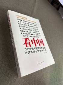 看中国：看懂中国在世界政治经济格局中的第一本书