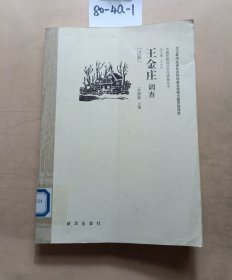 中国民族经济村庄调查丛书