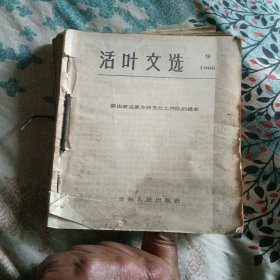 活页文选196631本合售90元