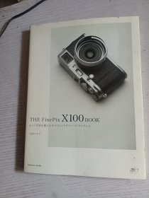 THE FINEPIX X100