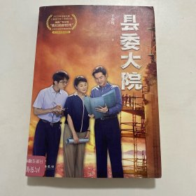 县委大院(孔笙导演，胡歌、吴越、张新成、黄磊、刘涛主演同名电视剧原著小说）