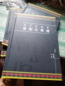 贾斯尔果谱 （ 彝族人家谱）
