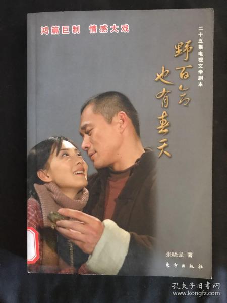 野百合也有春天（25集电视文学剧本）