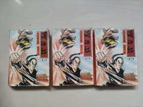 情奇武侠巨著《满江红》上中下三本全合售，详见图片及描述