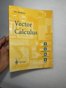 现货 英文原版 Vector Calculus